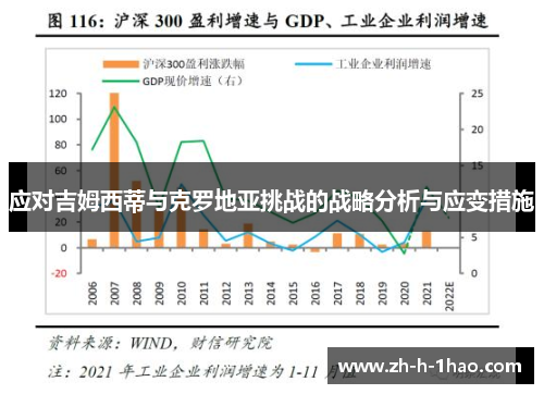 应对吉姆西蒂与克罗地亚挑战的战略分析与应变措施