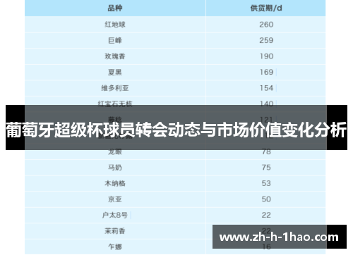 葡萄牙超级杯球员转会动态与市场价值变化分析