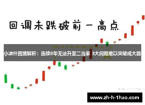 小波什困境解析：连续8年无法升至二当家 3大问题难以突破成大器