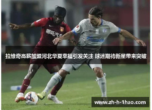 拉维奇高薪加盟河北华夏幸福引发关注 球迷期待新星带来突破