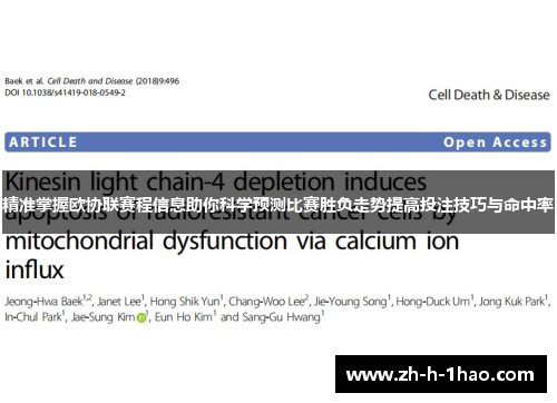 精准掌握欧协联赛程信息助你科学预测比赛胜负走势提高投注技巧与命中率